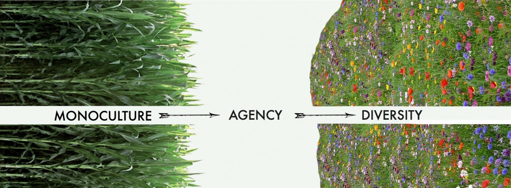 Transitcapes_8_diversity_web